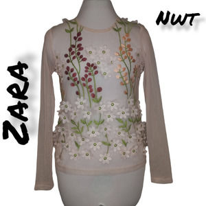 Zara Women's Crew Neck Long Sleeve Sheer Floral Embroidery Top Blouse Size Small